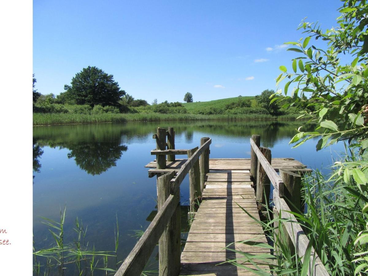 Ferienwohnung Im Gutshaus Alt Krassow Inmitten Der Natur Lalendorf Pokój zdjęcie