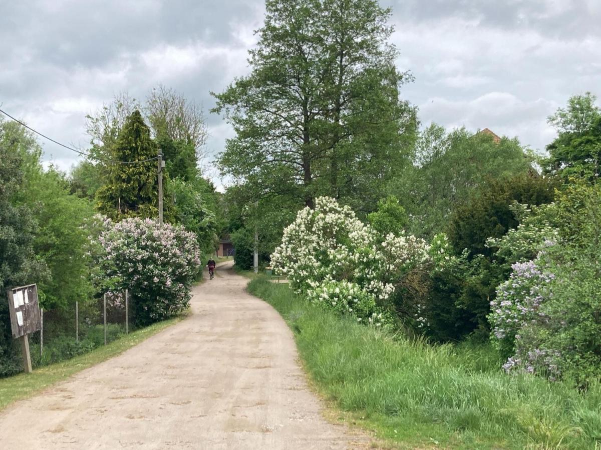 Ferienwohnung Im Gutshaus Alt Krassow Inmitten Der Natur Lalendorf Zewnętrze zdjęcie