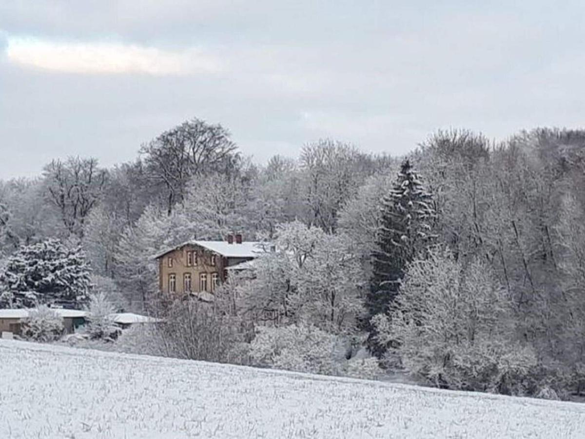 Ferienwohnung Im Gutshaus Alt Krassow Inmitten Der Natur Lalendorf Zewnętrze zdjęcie