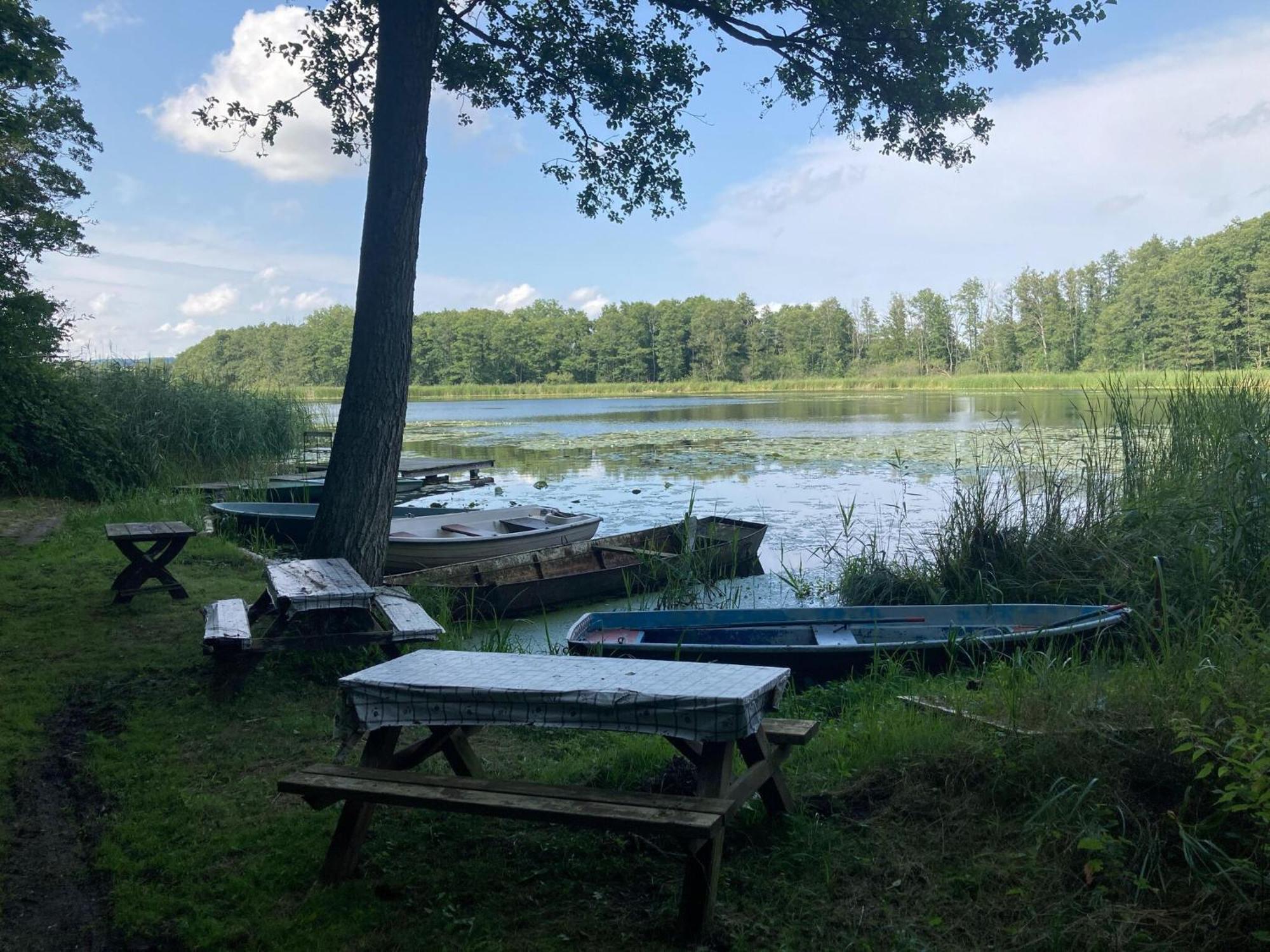 Ferienwohnung Im Gutshaus Alt Krassow Inmitten Der Natur Lalendorf Zewnętrze zdjęcie