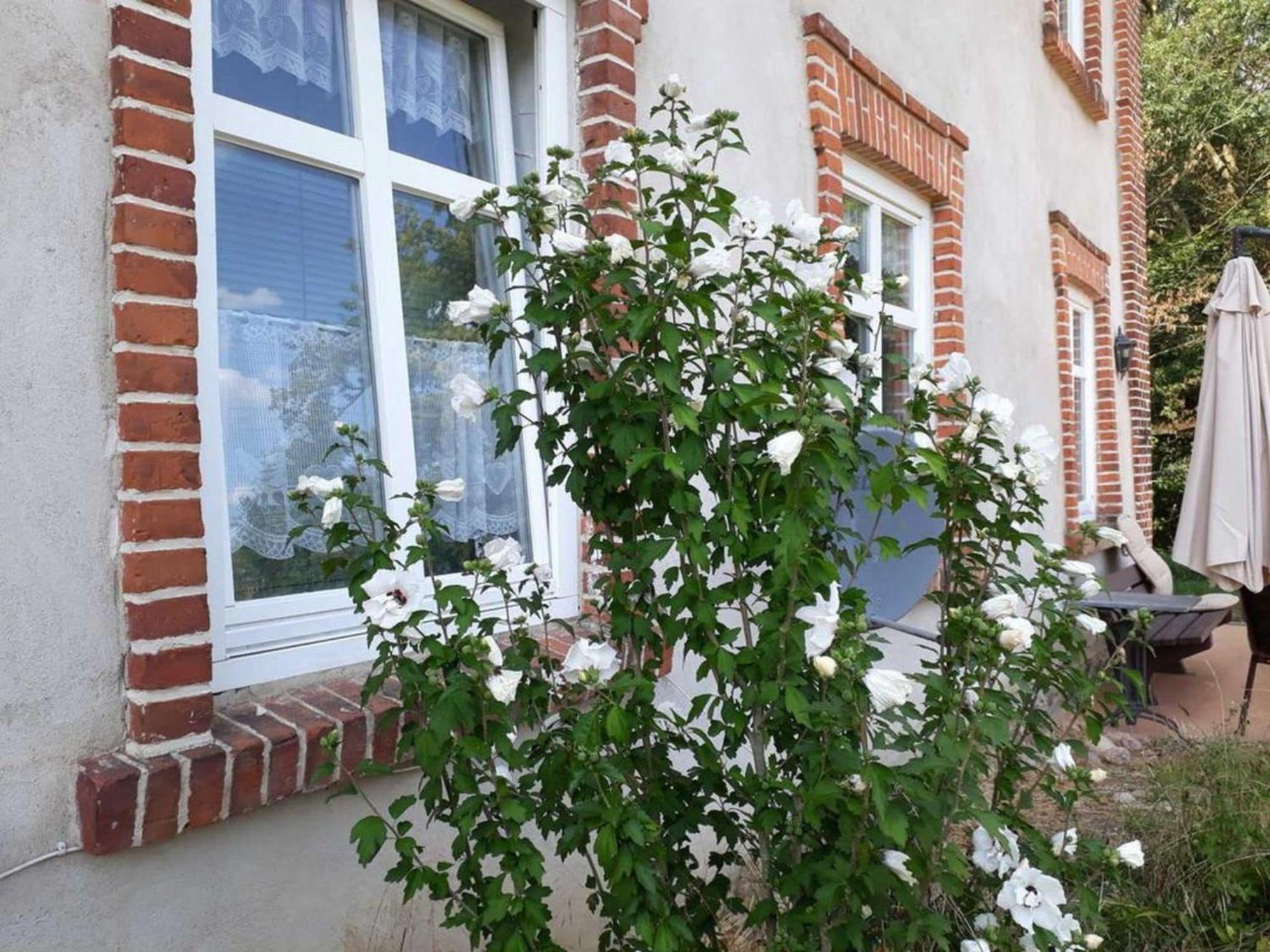 Ferienwohnung Im Gutshaus Alt Krassow Inmitten Der Natur Lalendorf Zewnętrze zdjęcie