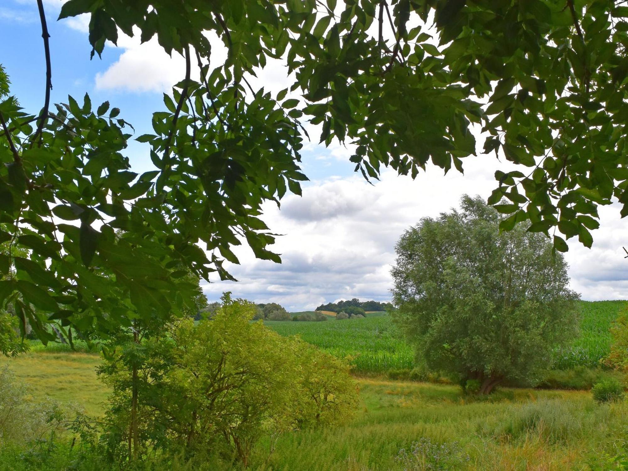 Ferienwohnung Im Gutshaus Alt Krassow Inmitten Der Natur Lalendorf Zewnętrze zdjęcie